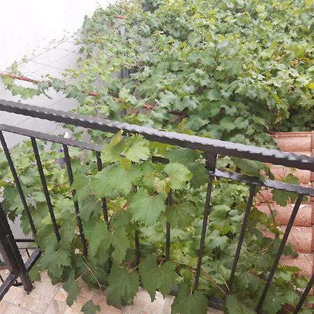 Melon-1, Murter, House For Rest المظهر الخارجي الصورة